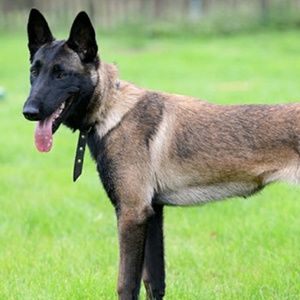 Meet your Posher, Connor